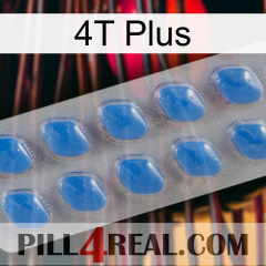 4T Plus 22
